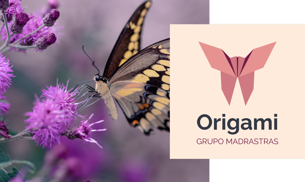 Mariposa en una flor morada