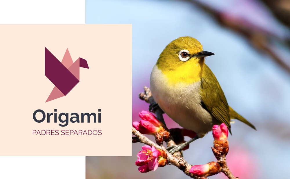 Ilustración origami
